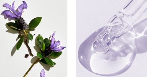 NEOGEN Special Treatment Real Bakuchiol Ferming Serum سيروم باكوتشيول للبشرة