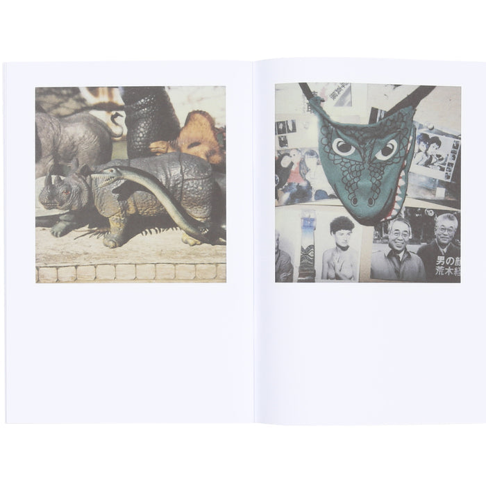 Nobuyoshi Araki