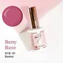 NT BASE-01 Berry Base 10g