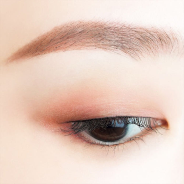 CANMAKE Perfect Multi Eyes (3 colors) | Isetan KL Online Store