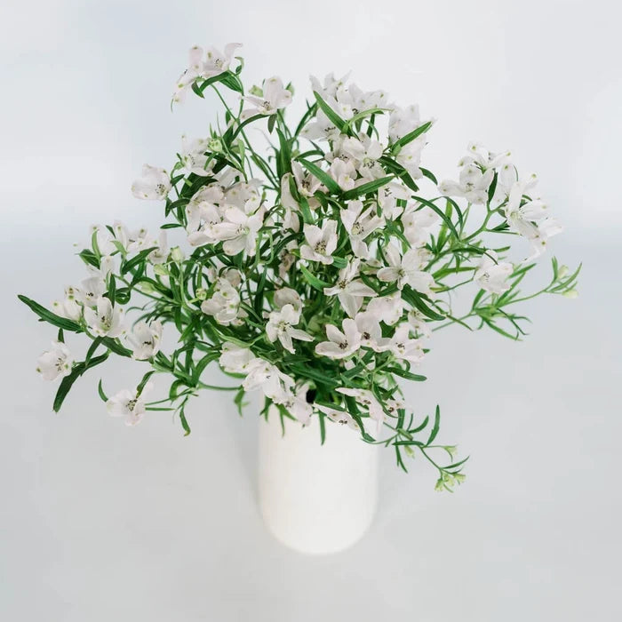 Pink Delphinium Flower Bunch in Vase