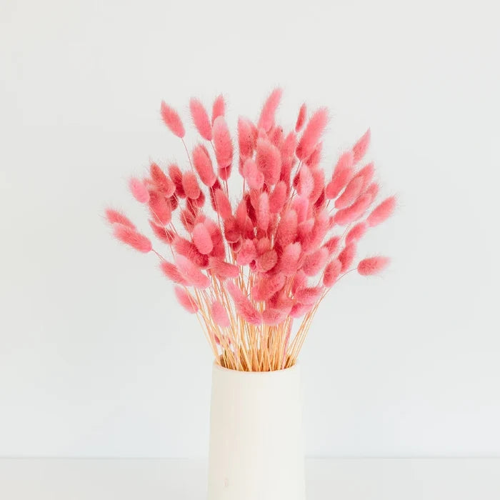 Pink Dried Craspedia Bunny Tails Apron - Image