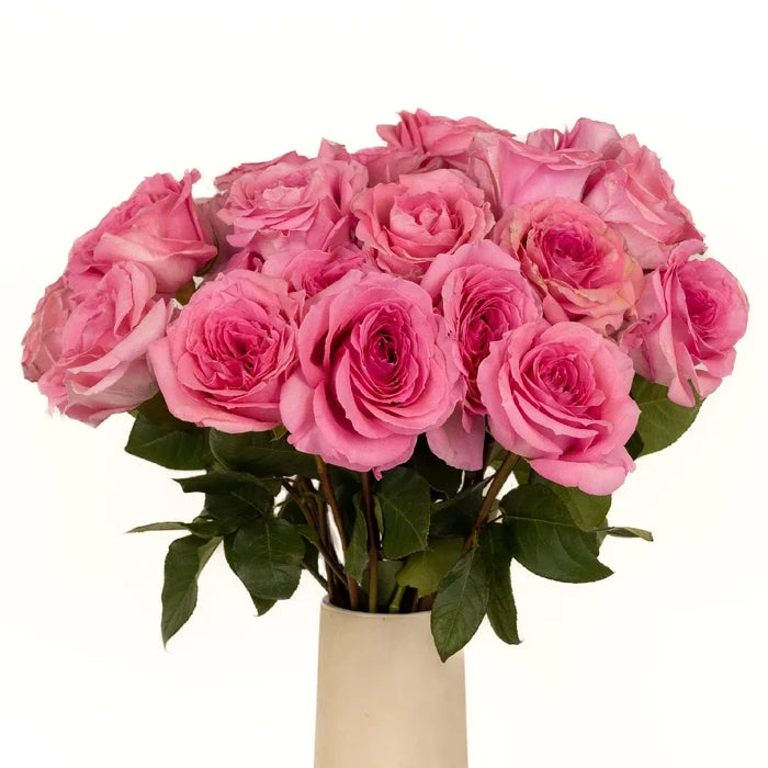 Coral Quartz Bulk Garden Rose Vase - Image