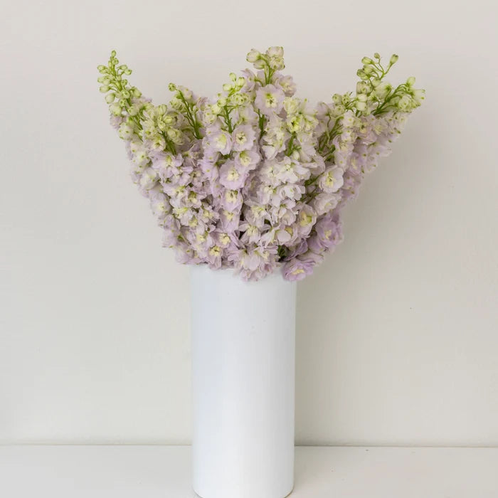 Pink River Designer Delphinium Flower Vase - Image