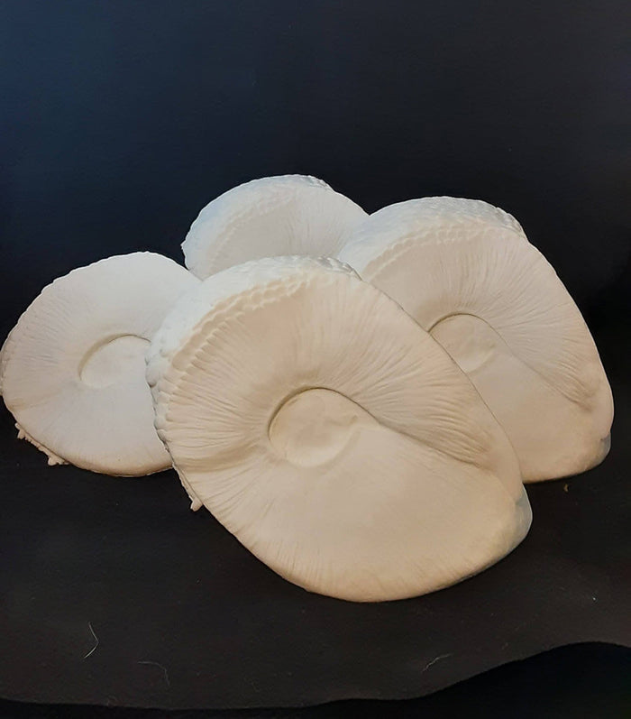 ****PRE-ORDER*** BARN OWL BLANK MASK