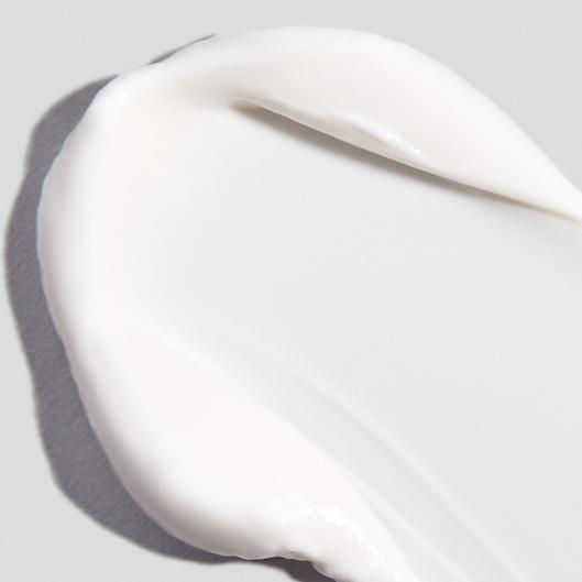 prisma protect spf30 moisturizer - Dermalogica Singapore