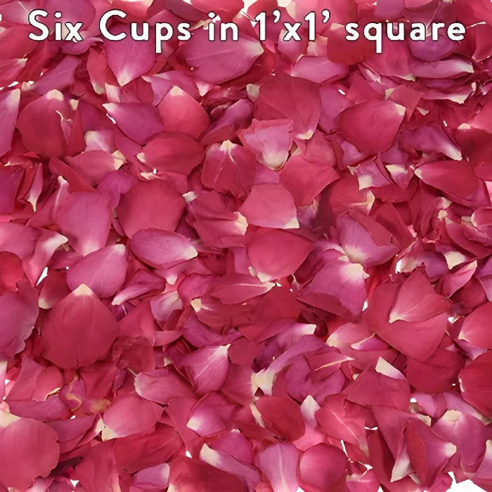 Wedding Rose Petals Dried