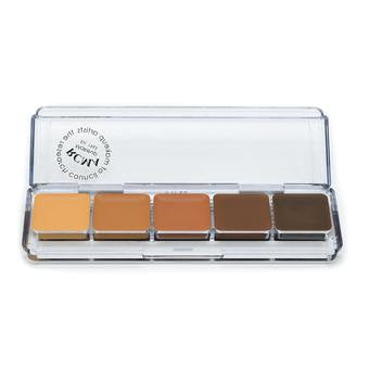 RCMA Highlight and Contour 5 Part Palette