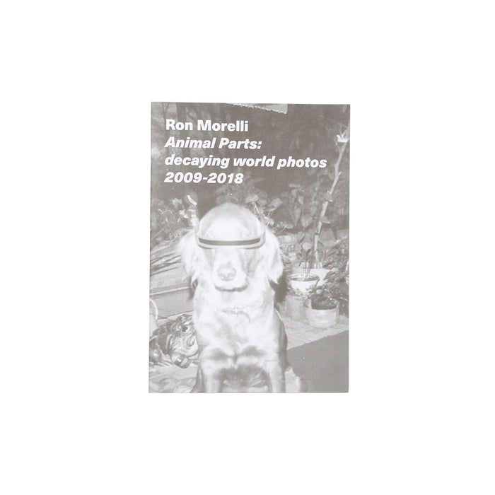 Ron Morelli