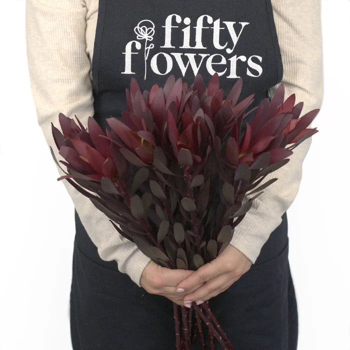 Safari Sunset Leucadendron Apron - Image