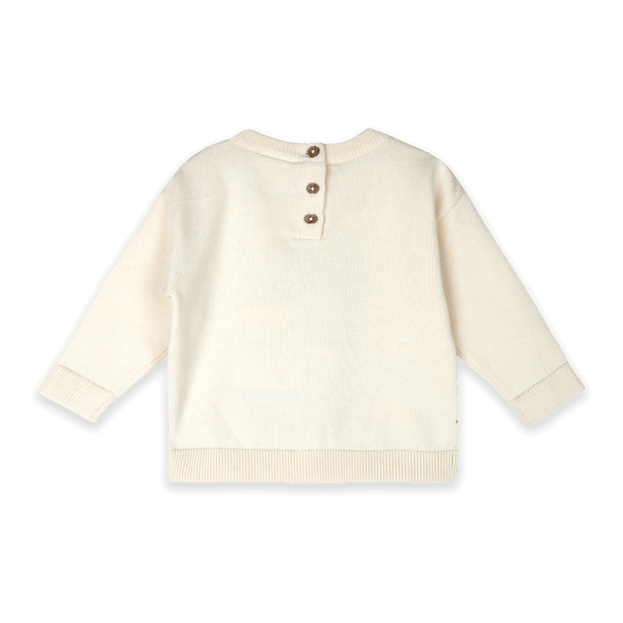 Organic Cotton Ski Club Embroidered Baby Knit Pullover, Back