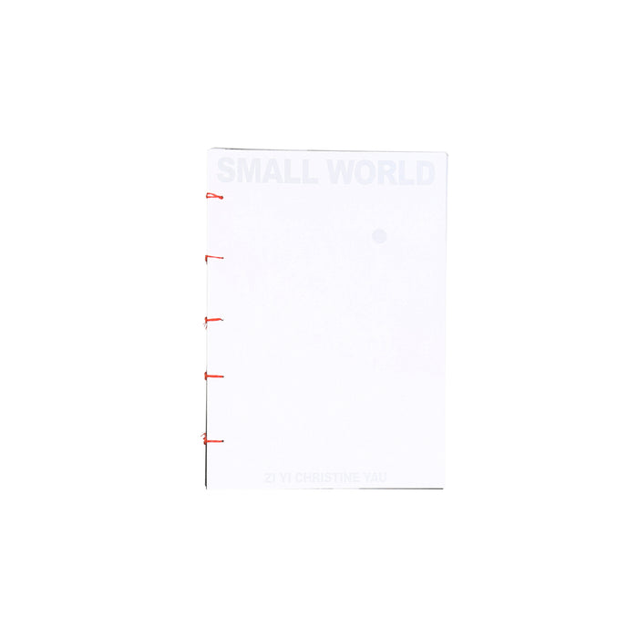 Small World  - Multi