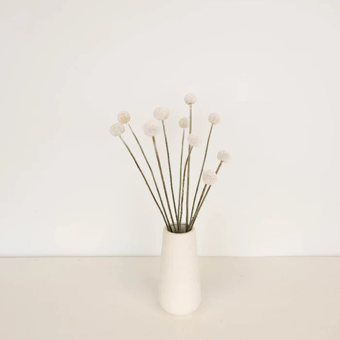 Snowball White Craspedia Billy Balls Vase - Image