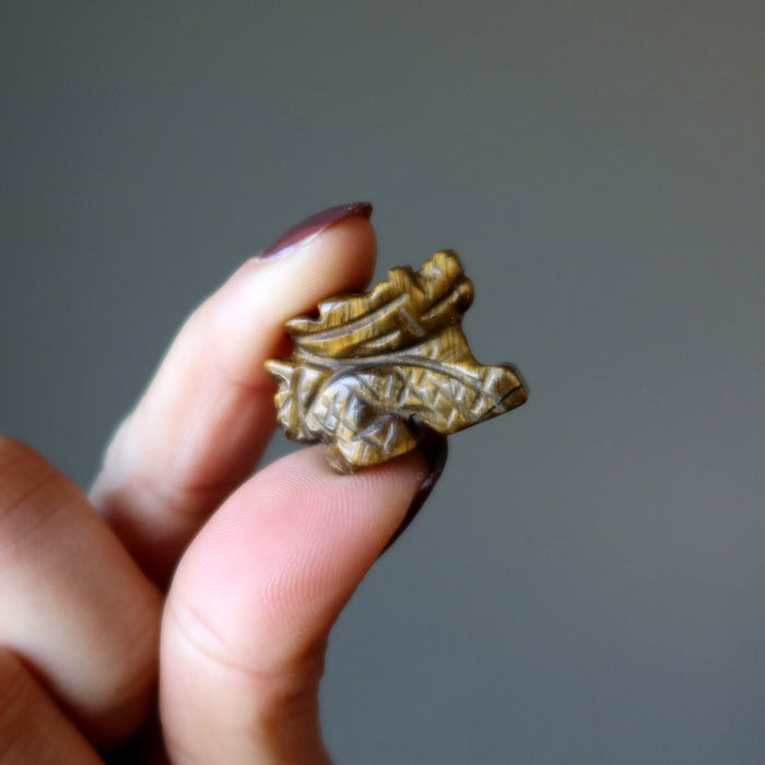 finger tips holding Tigers Eye dragon statues