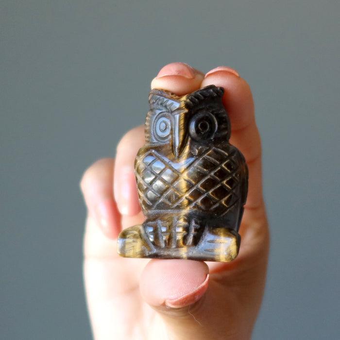 hand holding Tigers Eye Owl