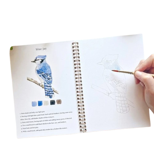 Watercolor Workbook - Birds