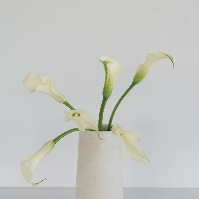 White Mini Calla Lily Flower Medium Vase - Image