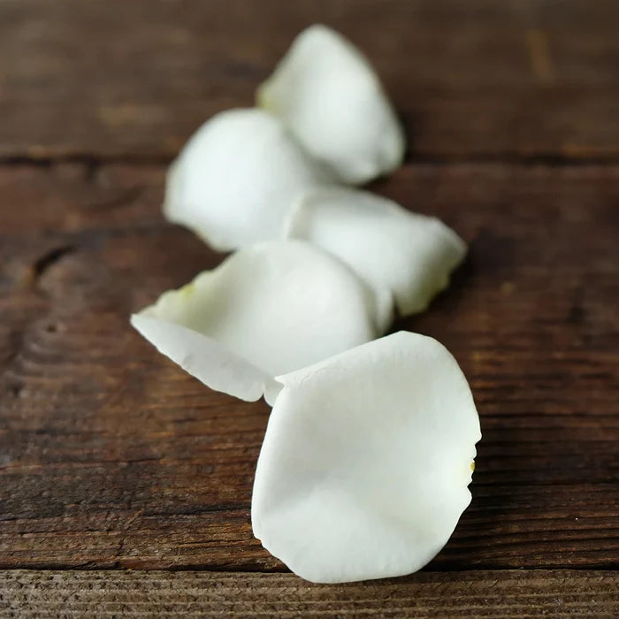 White Real Rose Petals