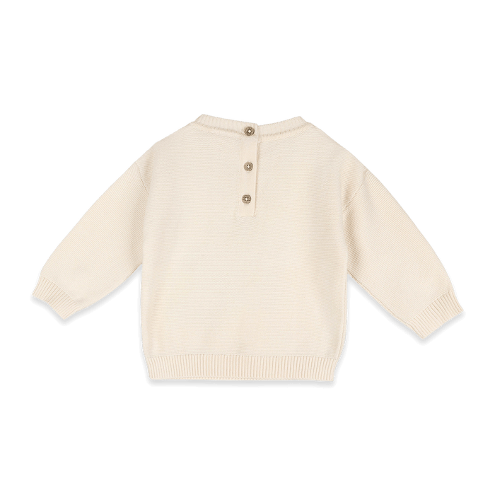Organic Cotton Woodland Animals Knit Baby Pullover, Back