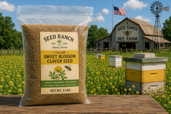 Yellow Sweet Blossom Clover Seed (Raw) - Seed World